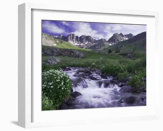 Wildflowers, Ouray, San Juan Mountains, Rocky Mountains, Colorado, USA-Rolf Nussbaumer-Framed Photographic Print