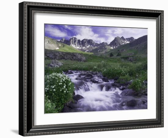 Wildflowers, Ouray, San Juan Mountains, Rocky Mountains, Colorado, USA-Rolf Nussbaumer-Framed Photographic Print