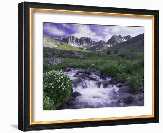 Wildflowers, Ouray, San Juan Mountains, Rocky Mountains, Colorado, USA-Rolf Nussbaumer-Framed Photographic Print