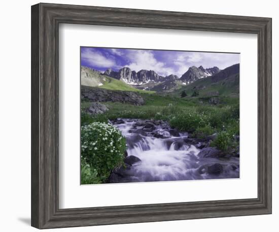 Wildflowers, Ouray, San Juan Mountains, Rocky Mountains, Colorado, USA-Rolf Nussbaumer-Framed Photographic Print