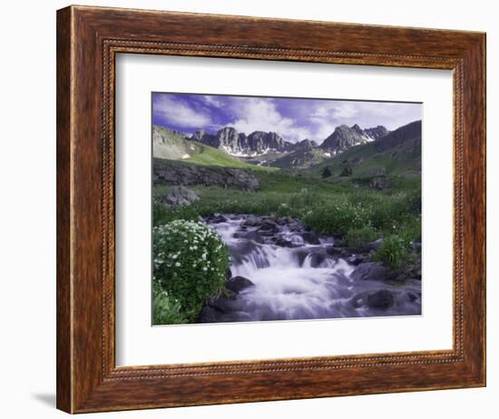 Wildflowers, Ouray, San Juan Mountains, Rocky Mountains, Colorado, USA-Rolf Nussbaumer-Framed Photographic Print