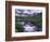 Wildflowers, Ouray, San Juan Mountains, Rocky Mountains, Colorado, USA-Rolf Nussbaumer-Framed Photographic Print