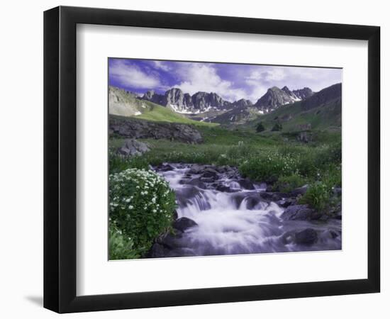 Wildflowers, Ouray, San Juan Mountains, Rocky Mountains, Colorado, USA-Rolf Nussbaumer-Framed Photographic Print