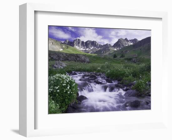 Wildflowers, Ouray, San Juan Mountains, Rocky Mountains, Colorado, USA-Rolf Nussbaumer-Framed Photographic Print