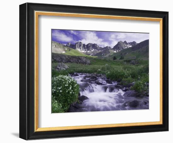 Wildflowers, Ouray, San Juan Mountains, Rocky Mountains, Colorado, USA-Rolf Nussbaumer-Framed Photographic Print