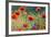 Wildflowers Poppies-Mike Mareen-Framed Photographic Print