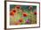 Wildflowers Poppies-Mike Mareen-Framed Photographic Print