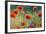 Wildflowers Poppies-Mike Mareen-Framed Photographic Print