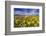 Wildflowers, Rocky Mountain Range, Augusta, Montana, Usa-Chuck Haney-Framed Photographic Print