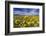 Wildflowers, Rocky Mountain Range, Augusta, Montana, Usa-Chuck Haney-Framed Photographic Print