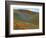 Wildflowers, Tehachapi Mountains, California, USA-Charles Gurche-Framed Photographic Print