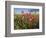 Wildflowers, Texas, USA-Larry Ditto-Framed Photographic Print