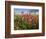 Wildflowers, Texas, USA-Larry Ditto-Framed Photographic Print