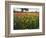 Wildflowers, Texas, USA-Larry Ditto-Framed Photographic Print