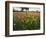 Wildflowers, Texas, USA-Larry Ditto-Framed Photographic Print