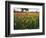 Wildflowers, Texas, USA-Larry Ditto-Framed Photographic Print