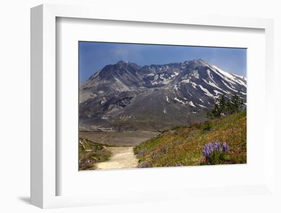 Wildflowers Trail, Mount Saint Helens Volcano National Park, Washington State-William Perry-Framed Photographic Print