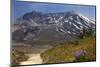 Wildflowers Trail, Mount Saint Helens Volcano National Park, Washington State-William Perry-Mounted Photographic Print