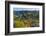 Wildflowers, Whitefish Range, Stillwater State Forest, Montana, USA-Chuck Haney-Framed Photographic Print