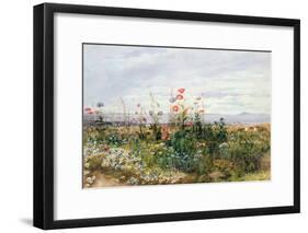 Wildflowers with a View of Dublin Dunleary-Andrew Nicholl-Framed Giclee Print