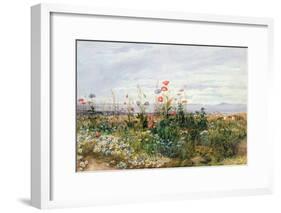 Wildflowers with a View of Dublin Dunleary-Andrew Nicholl-Framed Giclee Print