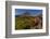 Wildflowers with Mount Reynolds, Logan Pass, Glacier National Park, Montana, USA-Chuck Haney-Framed Photographic Print