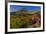 Wildflowers with Mount Reynolds, Logan Pass, Glacier National Park, Montana, USA-Chuck Haney-Framed Premium Photographic Print