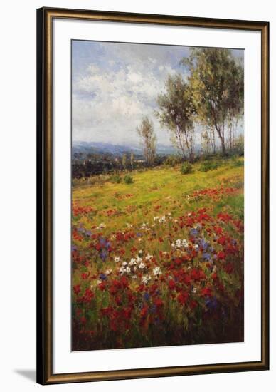 Wildflowers-Hulsey-Framed Art Print