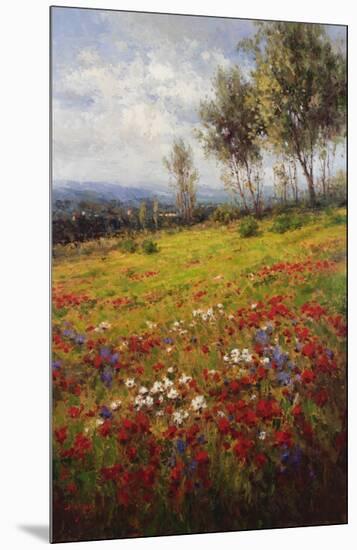 Wildflowers-Hulsey-Mounted Art Print