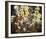 Wildflowers-Tom Thomson-Framed Giclee Print