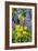 Wildflowers-Bob Gibbons-Framed Photographic Print