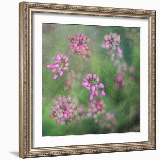 Wildflowers-Viviane Fedieu Daniel-Framed Photographic Print