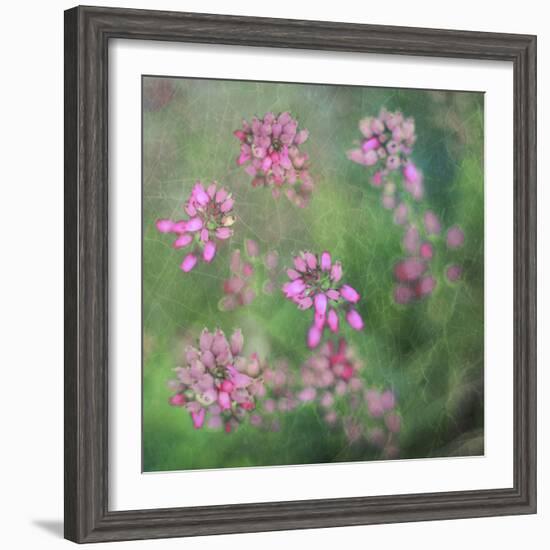 Wildflowers-Viviane Fedieu Daniel-Framed Photographic Print