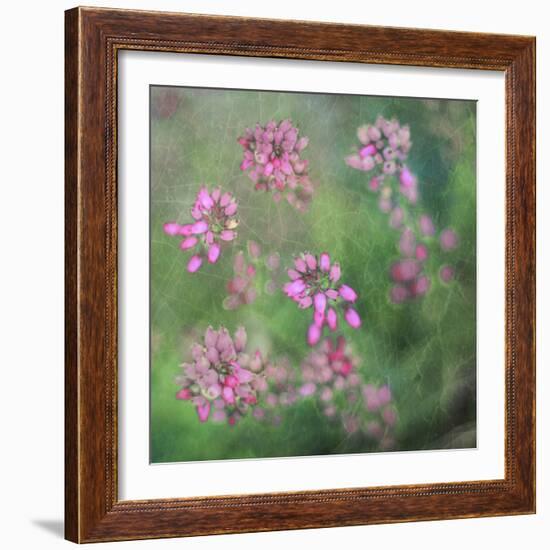 Wildflowers-Viviane Fedieu Daniel-Framed Photographic Print