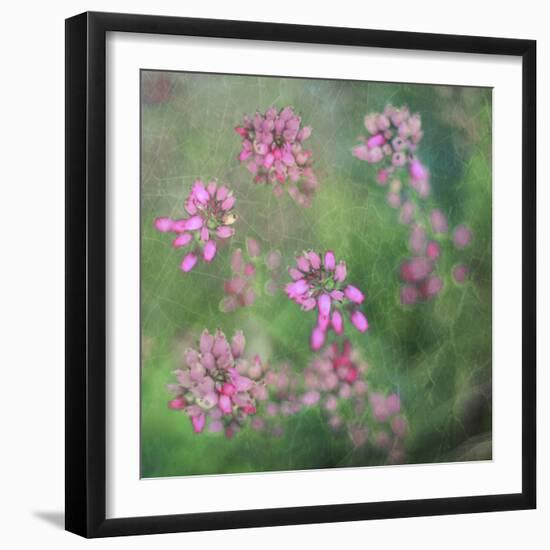 Wildflowers-Viviane Fedieu Daniel-Framed Photographic Print