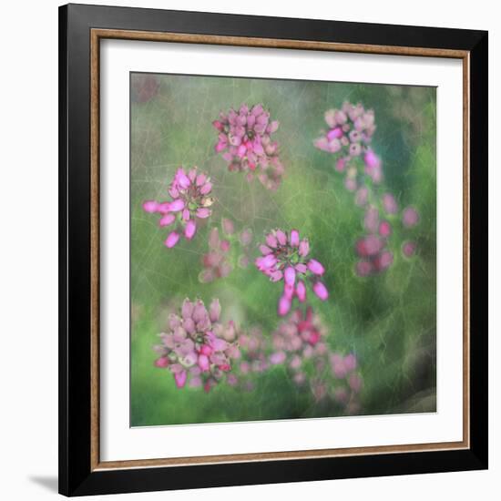 Wildflowers-Viviane Fedieu Daniel-Framed Photographic Print