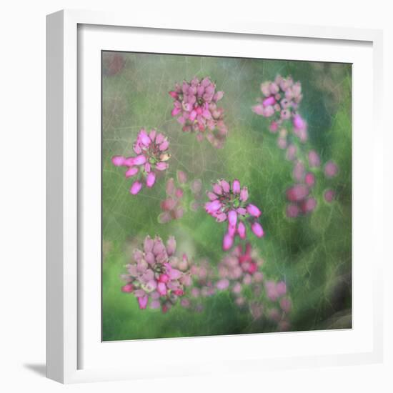 Wildflowers-Viviane Fedieu Daniel-Framed Photographic Print