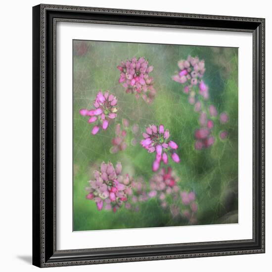 Wildflowers-Viviane Fedieu Daniel-Framed Photographic Print