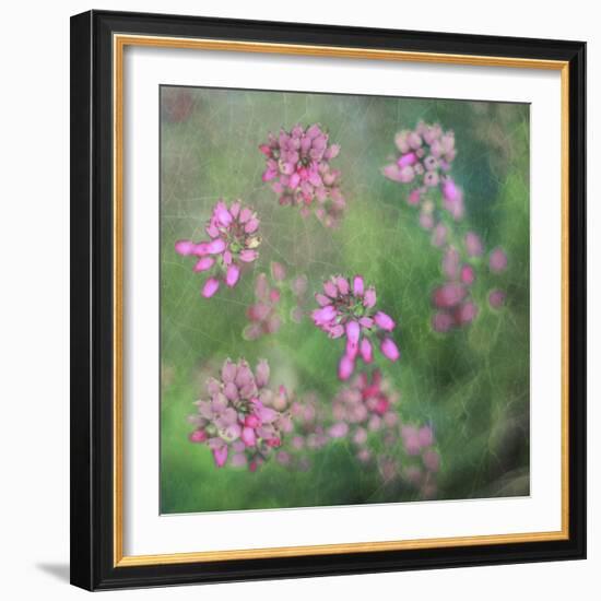 Wildflowers-Viviane Fedieu Daniel-Framed Photographic Print