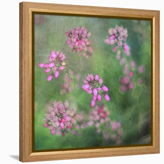 Wildflowers-Viviane Fedieu Daniel-Framed Premier Image Canvas