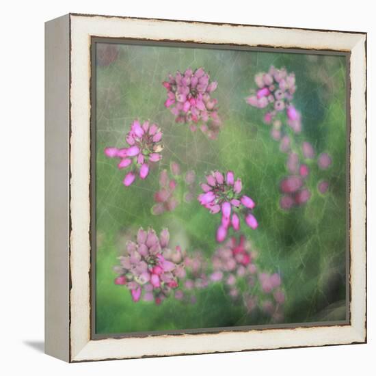 Wildflowers-Viviane Fedieu Daniel-Framed Premier Image Canvas