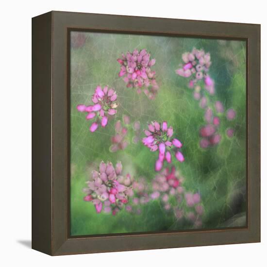 Wildflowers-Viviane Fedieu Daniel-Framed Premier Image Canvas