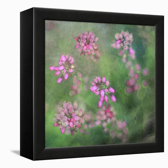 Wildflowers-Viviane Fedieu Daniel-Framed Premier Image Canvas