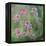 Wildflowers-Viviane Fedieu Daniel-Framed Premier Image Canvas