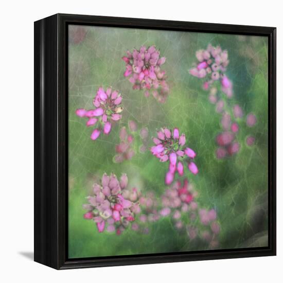 Wildflowers-Viviane Fedieu Daniel-Framed Premier Image Canvas