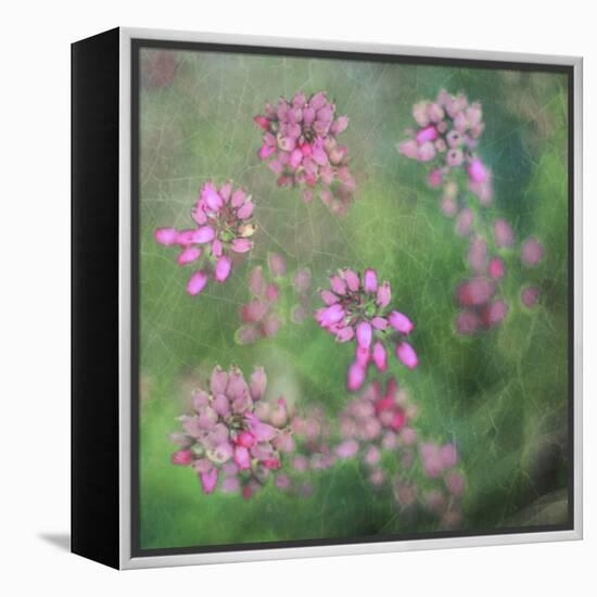 Wildflowers-Viviane Fedieu Daniel-Framed Premier Image Canvas