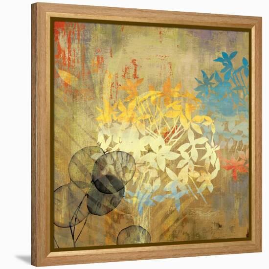 Wildflowers-Andrew Michaels-Framed Stretched Canvas