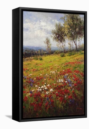 Wildflowers-Hulsey-Framed Stretched Canvas