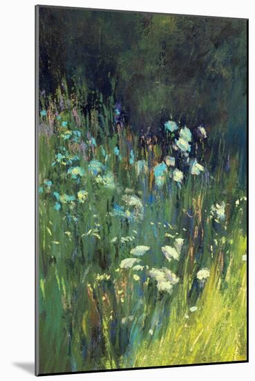 Wildflowers-Carol Strock Wasson-Mounted Art Print