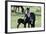 Wildhorses-Gordon Semmens-Framed Photographic Print